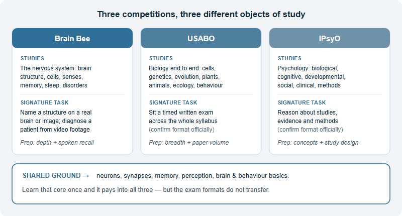 Brain Bee vs USABO vs IPsyO: Neuroscience, Biology or Psychology — Which One Fits Your Student?
