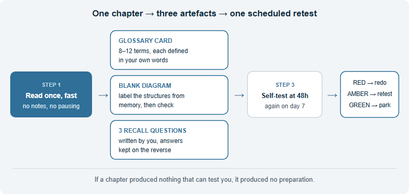 How to Study Brain Facts for the Brain Bee: A Chapter-by-Chapter Method That Builds Real Recall