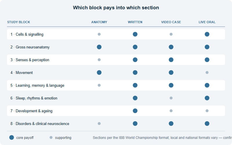Matrix showing which of the eight study blocks pays into each of the four Brain Bee World Championship sections: neuroanatomy, written test, video patient case and live oral round