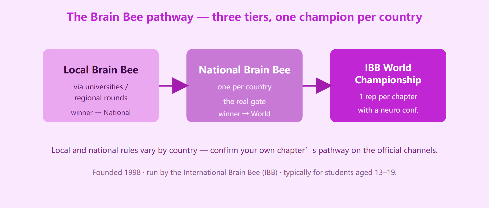 What Is the Brain Bee? The Neuroscience Competition Explained for China Students (2026)