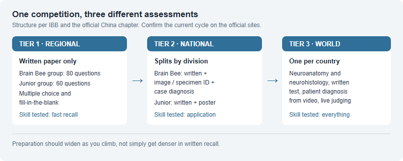 The Brain Bee China Pathway: How the Regional, National and World Rounds Test Three Different Things