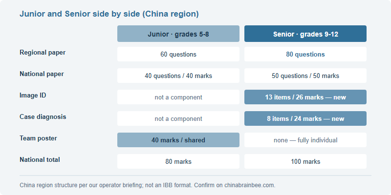 Crossing Grade 8: What Changes When You Move From Junior to Senior Brain Bee in China