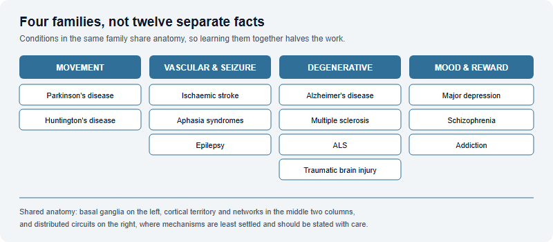 Twelve neurological and psychiatric conditions grouped into four families: movement disorders of the basal ganglia, vascular and excitability disorders, degenerative and demyelinating disorders and injury, and mood, psychosis and reward conditions