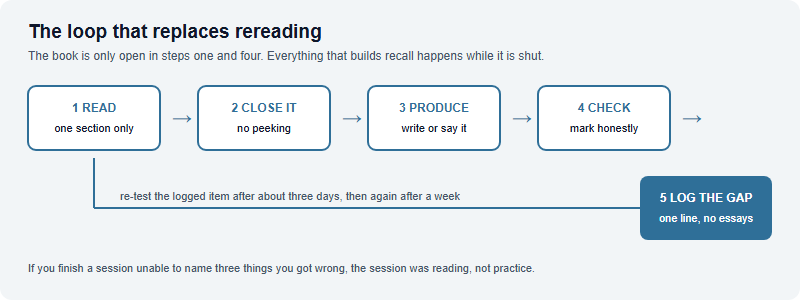 Practising for the Brain Bee Without an Official Question Bank: Testing Yourself in Four Formats