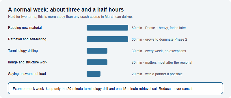A weekly Brain Bee time budget of about three and a half hours split into reading, retrieval, terminology, image identification and spoken practice, with a reduced fallback plan for school exam weeks