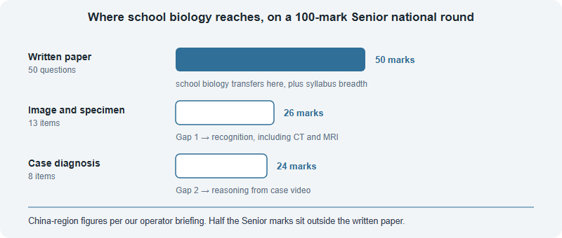 Bar chart of the Senior national round mark split in the China region: written paper 50 marks where school biology transfers, image and specimen identification 26 marks, and case diagnosis 24 marks, totalling 100 marks