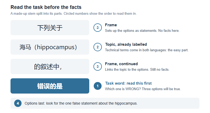 Brain Bee China 2027 Papers Are Set in Chinese: A Bilingual Method for Students Who Learned Neuroscience in English